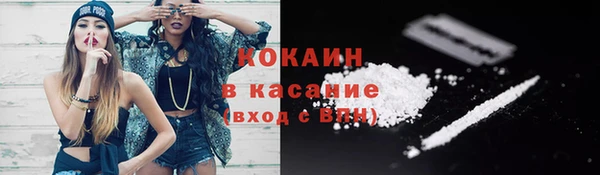 трава Белокуриха