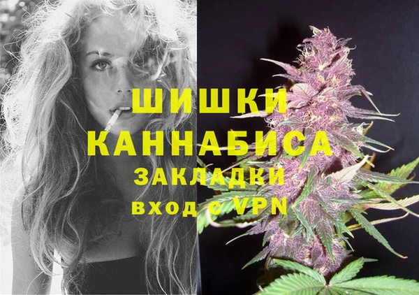 трава Белокуриха